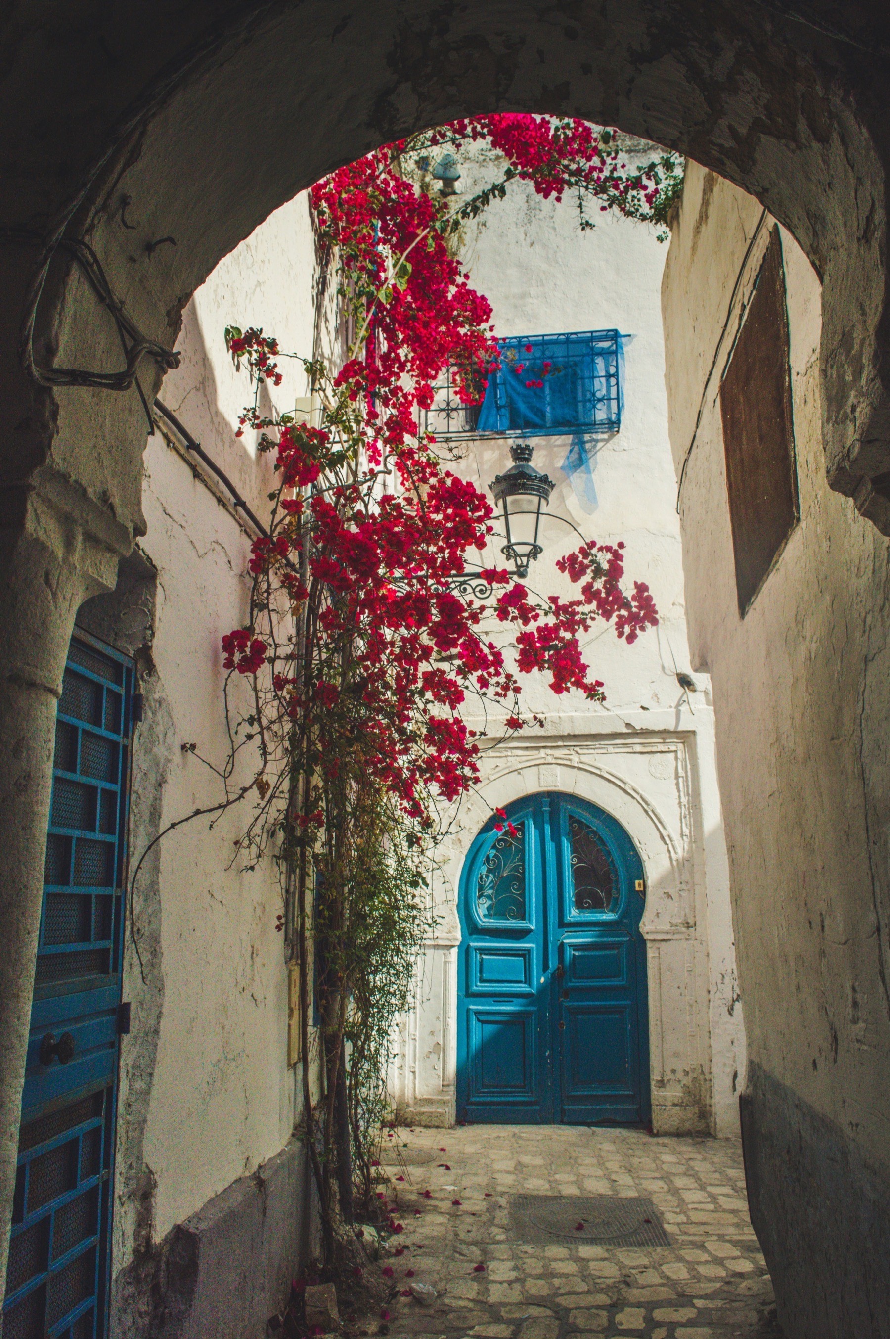 A bougainvillea-covered alley leading to a blue door in Nabeul