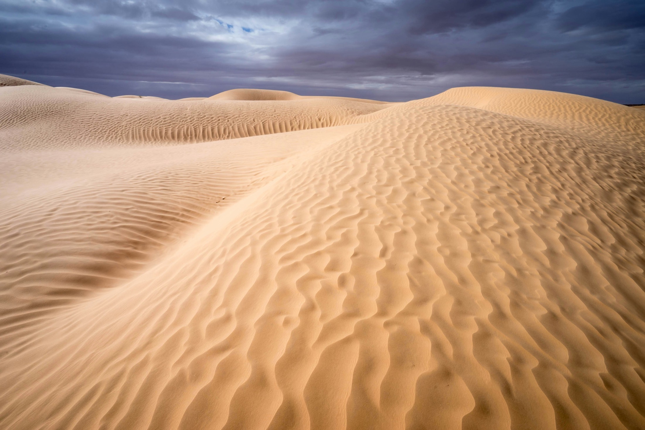 Wind-rippled Saharan sand dunes under a dramatic sky