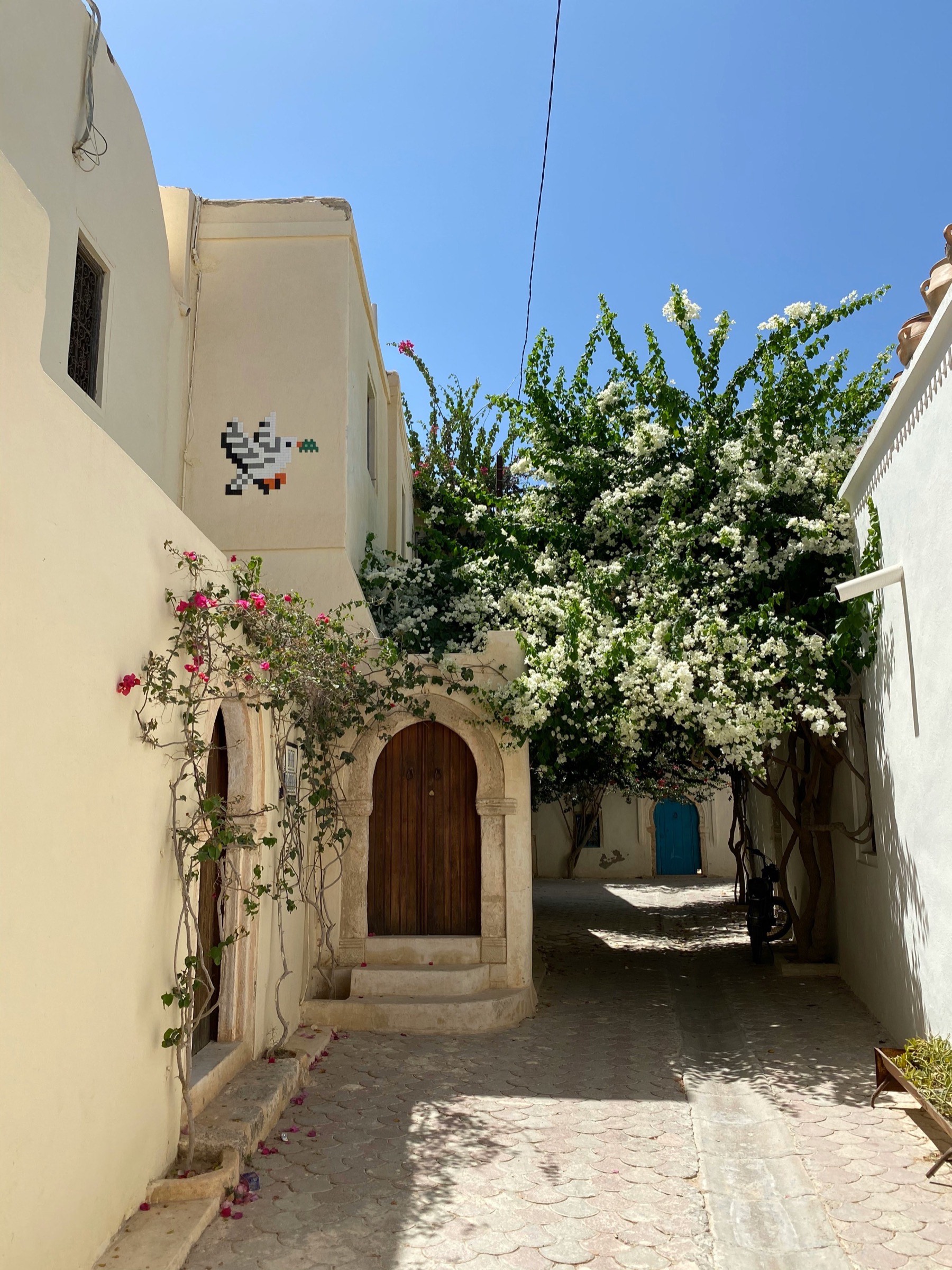 A blue and white medina alley in Sidi Bou Said, framed by bougainvillea