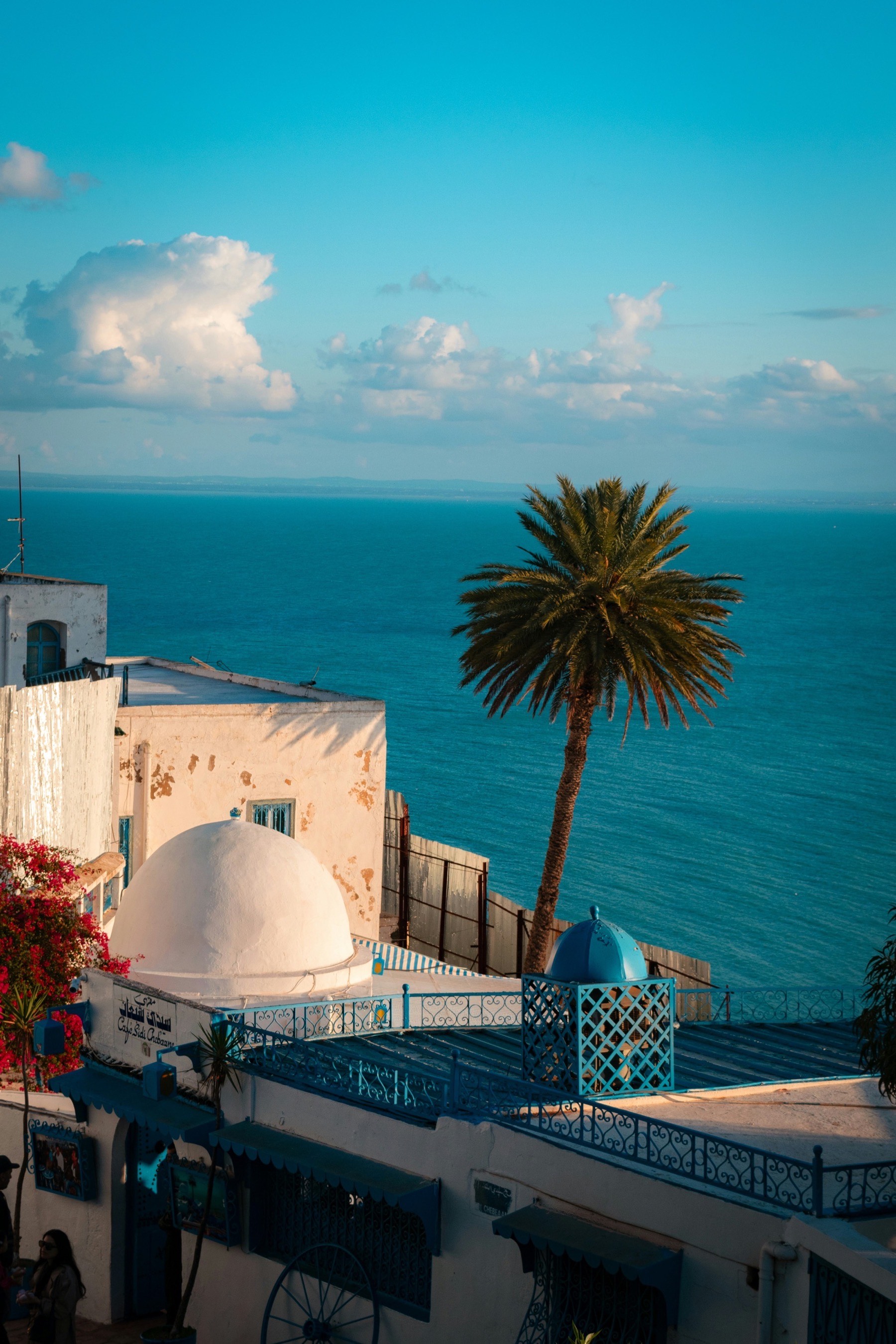 The Cap Bon coastline, home to Tunisia's pomegranate and citrus orchards